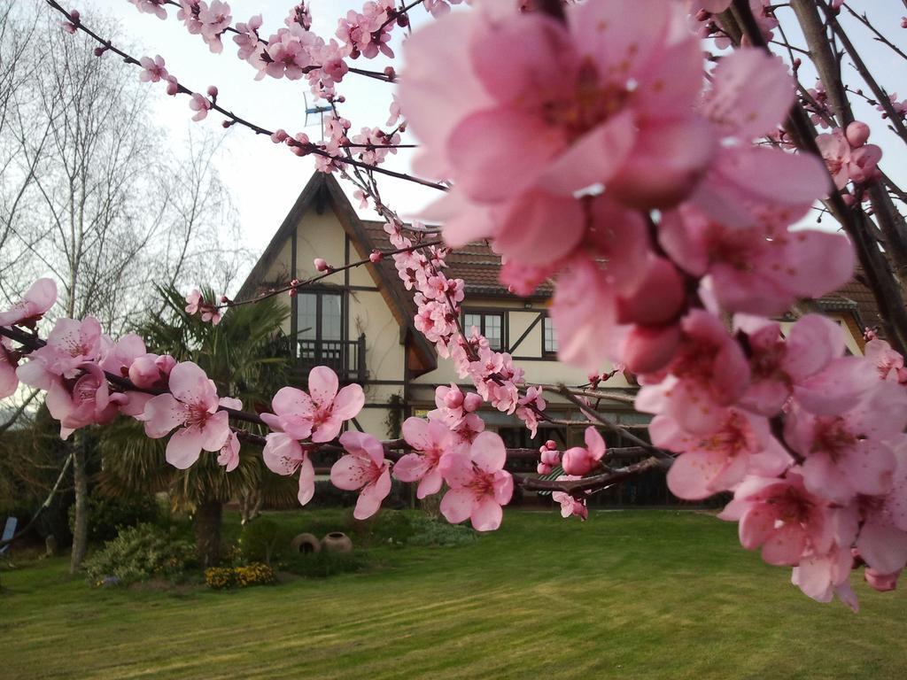 Los Arces Ferienhaus Elosu